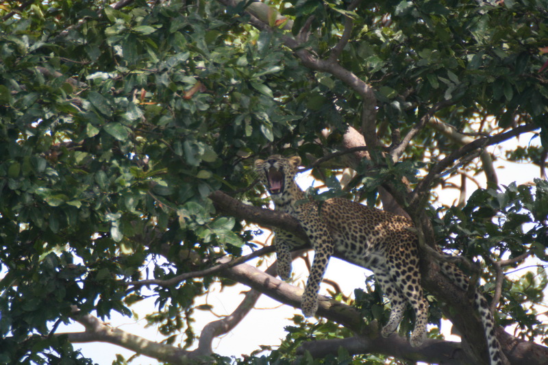 Sri Lanka, National parks